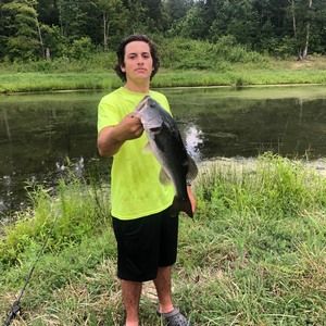 Meet your Posher, Ty